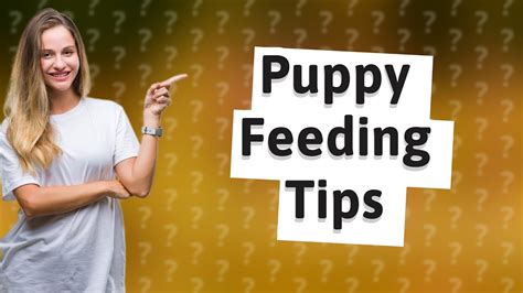 how long can 6 week old go between feedings at night