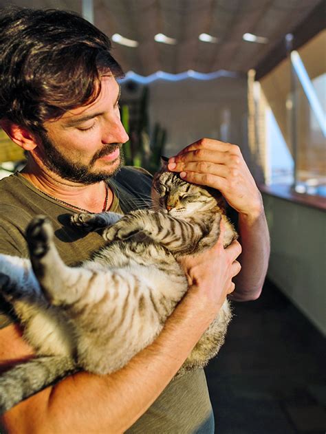 how long can a cat go without urinating or pooping
