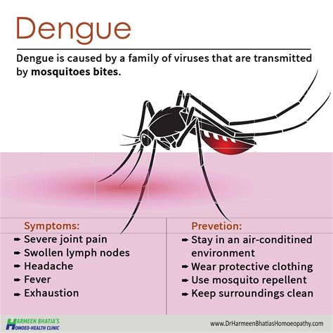 how long dengue virus in body