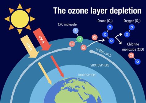 how long did it take for the ozone layer to form