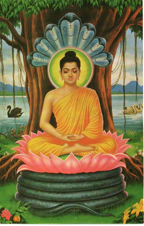 how long did siddhartha gautama meditate for