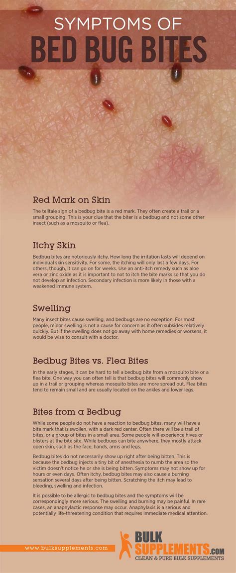 How Long Do Bed Bug Bites Take To Develop