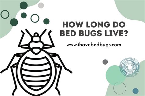 How Long Do Bess Bugs Live