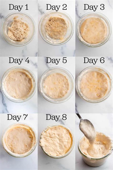 How Long Do Bread Starters Last