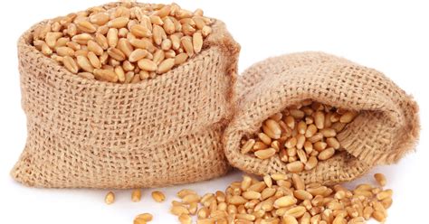 How Long Do Grains Keep