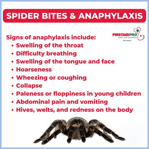 how long do side effects of spider bites last