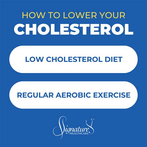 How Long Does A Cholesterol Test Take