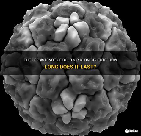 How Long Does A Cold Virus Last On Objects