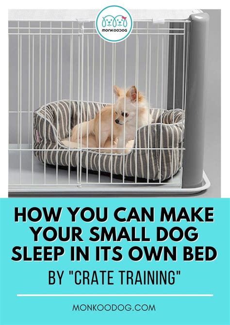 How Long Does A Dog Need To Sleep In A Crate