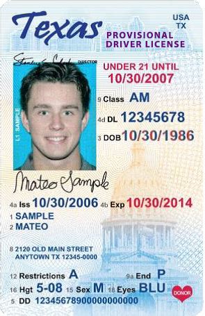 how long does a new driver have to get insurance