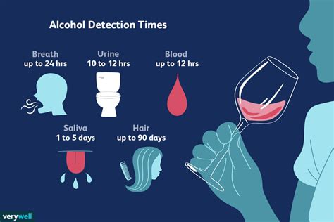 how long does alcohol last in blood
