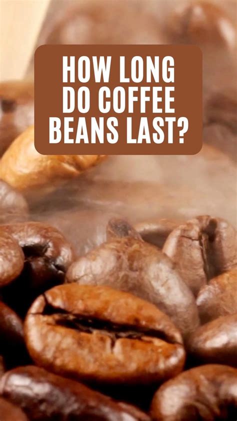 How Long Does Bag Beans Last