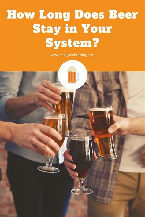 how long does beer last in your system
