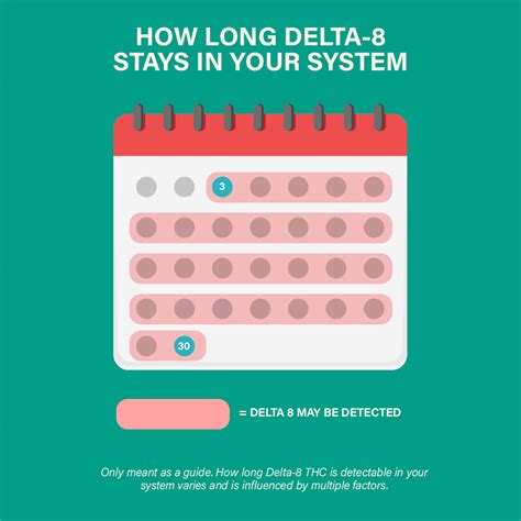 how long does cla stay in your system