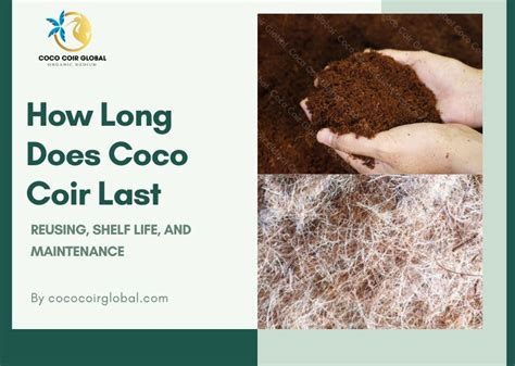How Long Does Coco Coir Last