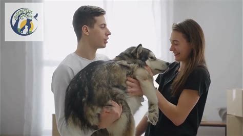 How Long Does Dog Remember Owner