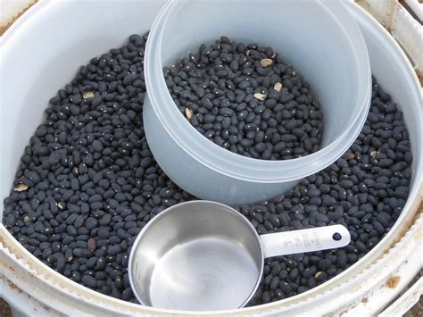 How Long Does Dried Black Beans Last