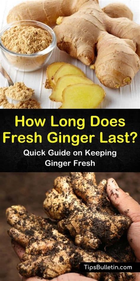 how long does ginger last