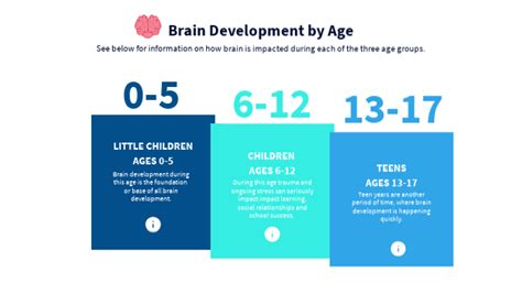 how long does it take for a boys brain to develop