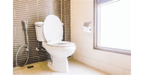 How Long Does It Take For A Toilet To Set