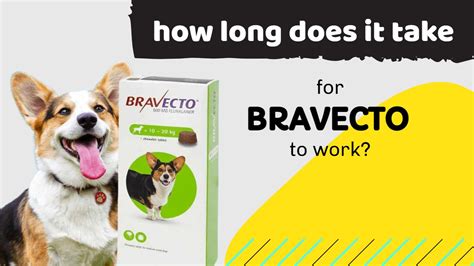 how long does it take for bravecto to work on demodex