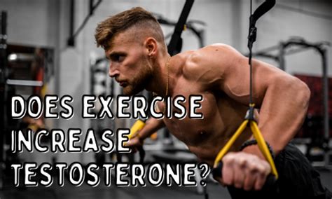 how long does it take for exercise to boost testosterone