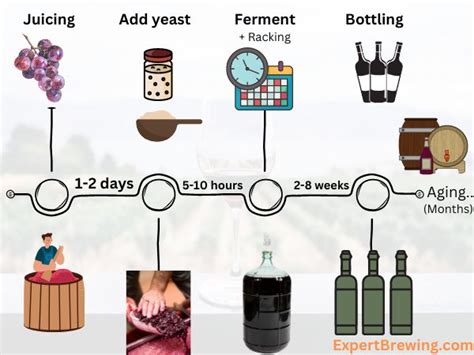 How Long Does It Take For Fermentation To Start With Wine