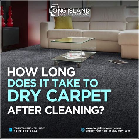 How Long Does It Take For Mud To Dry On Carpet