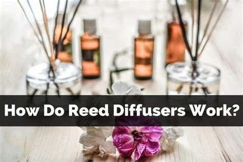 How Long Does It Take For Reed Diffusers To Work
