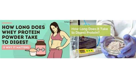 How Long Does It Take To Digest Supplements