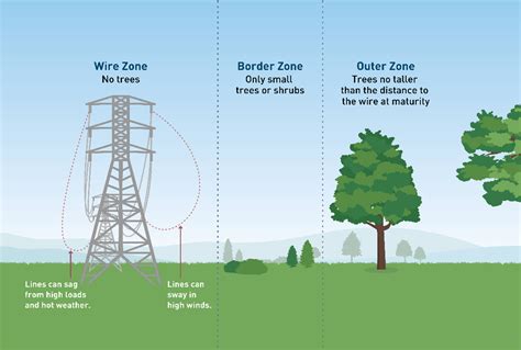 How Long Does It Take To Fix A Tree On A Power Line
