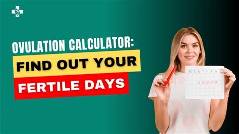 How Long Does It Take To Get Pregnant Using Ovulation Tests