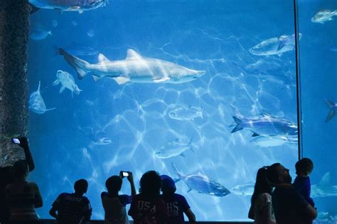 how long does it take to go through the aquarium in new orleans