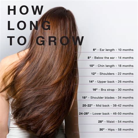 Fresh How Long Does It Take To Grow Shoulder Length Hair To Mid Back For Long Hair