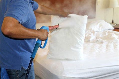 How Long Does It Take To Kill Bed Bugs With A Steamer