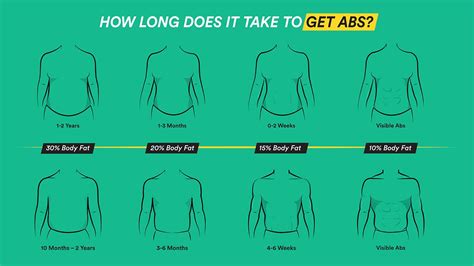 How Long Does It Take To See Abs From Working Out 