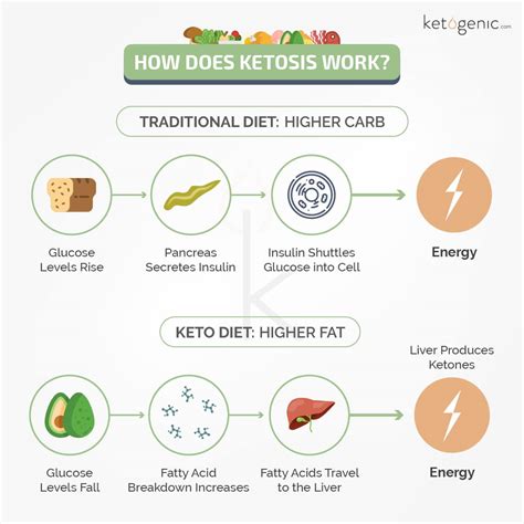 How Long Does Keto Work