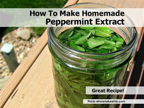 How Long Does Mint Extract Last