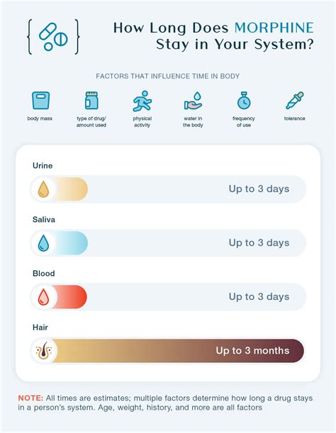 Morphine Duration: How Long Does Morphine Last in System?