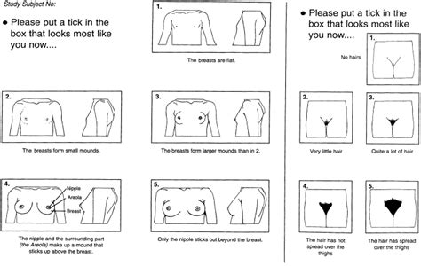 how long does tanner take to develop