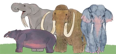 how long have elephants been on earth