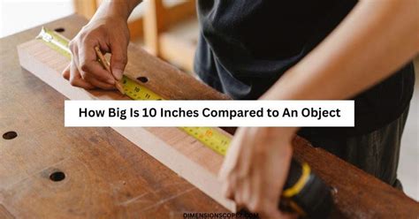 How Long Is 24 Inches Compared To An Object
