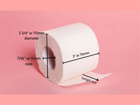 Empty toilet roll again Funny pictures, Funny jokes, Toilet paper roll