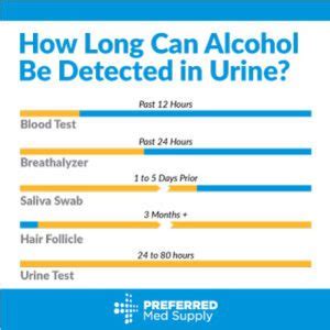 How Long Is Alcohol Detectable In Urinalysis