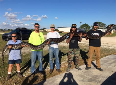 how long is python hunting season in florida