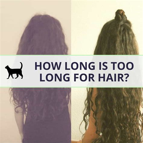  79 Popular How Long Is Too Long Hair With Simple Style