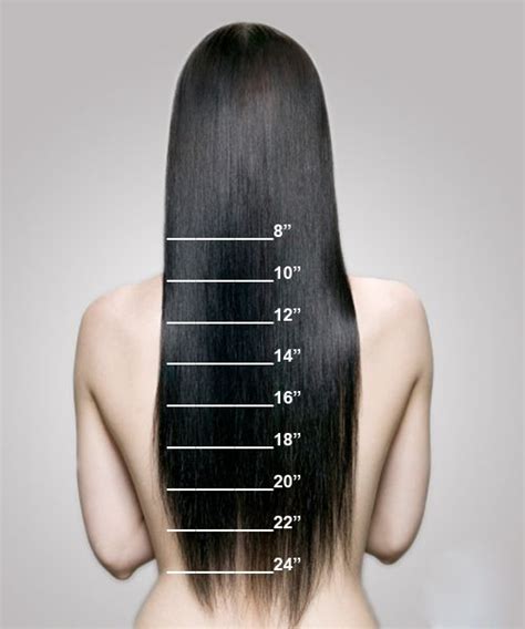  79 Popular How Long Is Your Hair In Inches For New Style