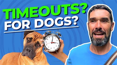 How Long Should A Dog Be In Timeout
