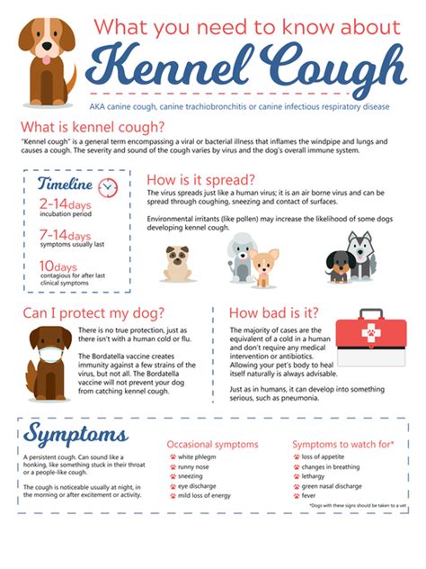 How Long Should A Dog With Kennel Cough Be Quarantined
