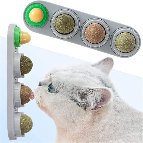 how long should cat have catnip toy